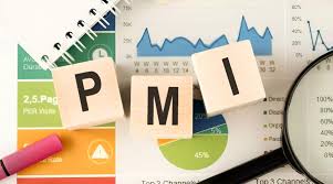 PMI là gì? Ý nghĩa và cách tính chỉ số PMI - Happy Live