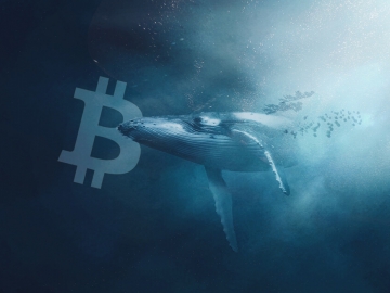 Tốc độ bán tháo Bitcoin của “cá voi” trong tháng 11/2022 lập kỷ lục mới